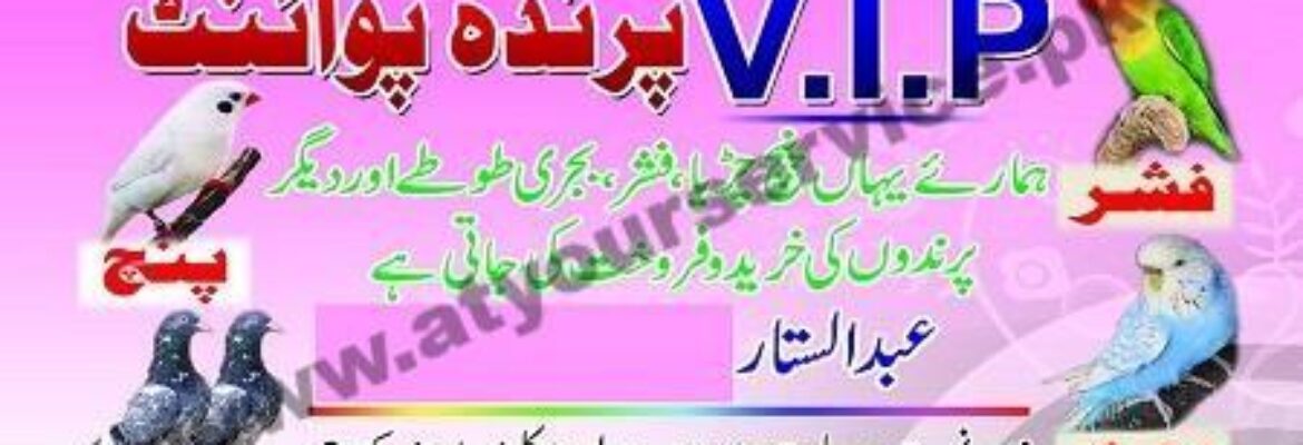 VIP Birds Point – Juma Baloch Road, New Kalri, Lyari, Karachi