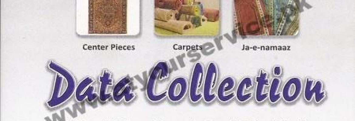 Data Collection – Narwala Road, Dhobi Ghat, Faisalabad