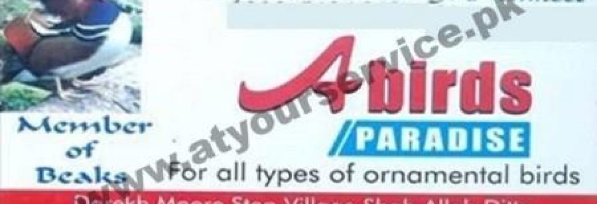 A Birds Paradise – Darekh Mor Stop, Shah Allah Ditta, Islamabad