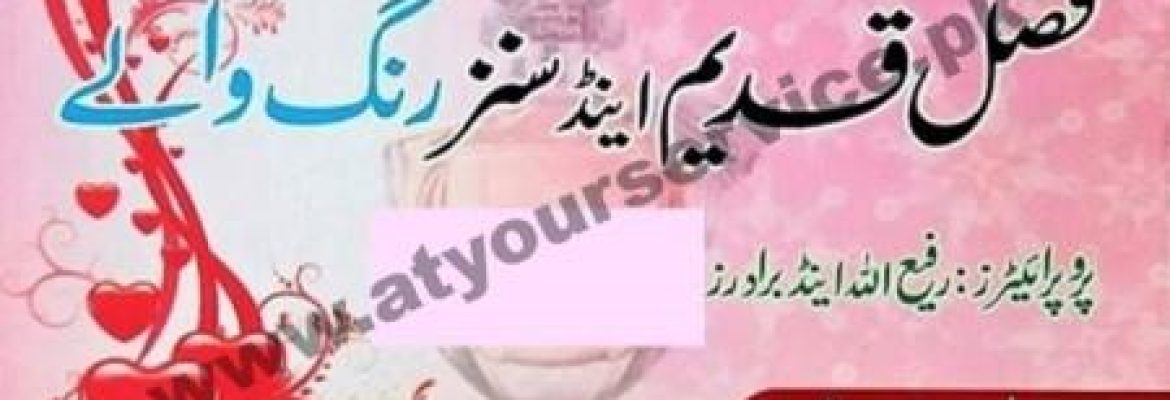 Fazil Qadeem & Sons (Painters) – Hospital Road, Swabi