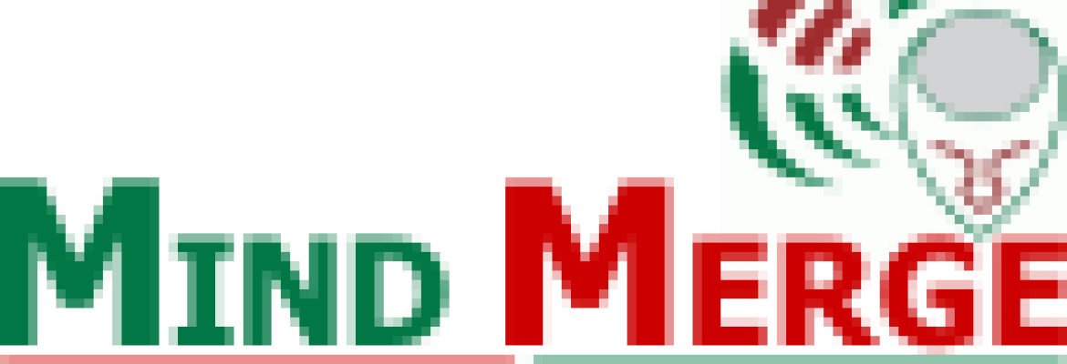 Mind Merge Data Recovery Services – Rex City Plaza, Satyana Road, Faisalabad