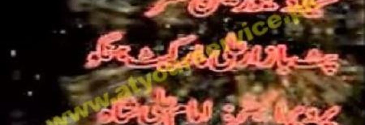 Sayed Decoration Centre – Ali Market, Pat Bazar, Hangu