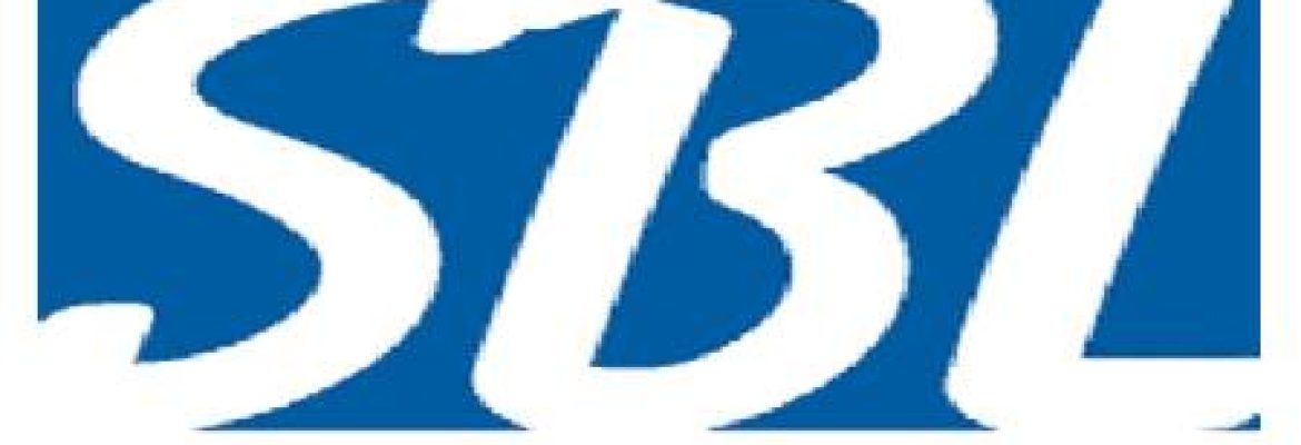 Shahid Bulilder (Pvt) Limited – Lytton Road, Mozang, Lahore