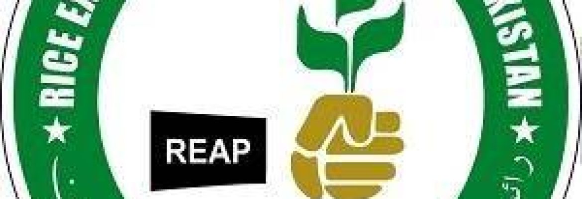 Rice Exporters Association of Pakistan – Sadiq Plaza, The Mall, Lahore