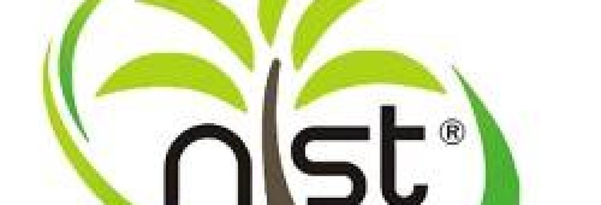 New Lal Shahbaz Traders – Khajoor Market, Khairpur Mir’s