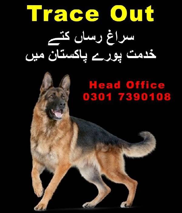 Army Dog Center Contact Number - Rawalpindi