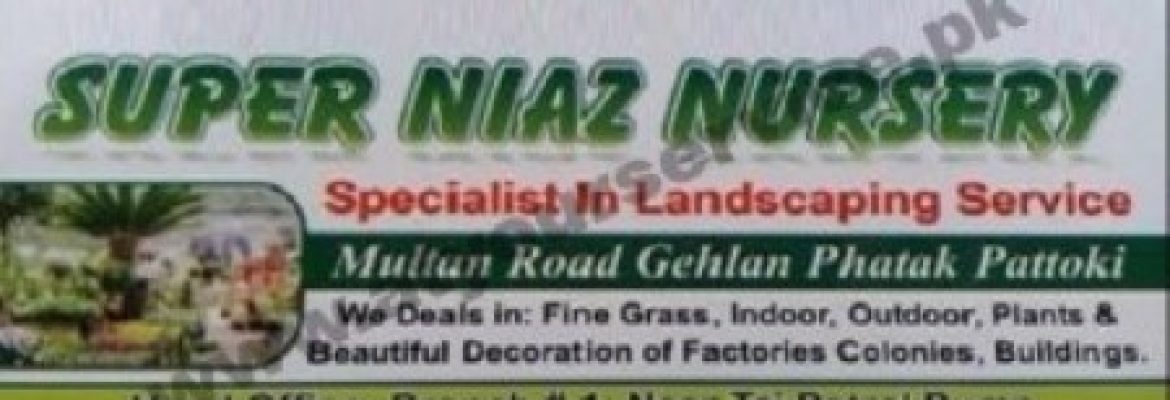 Super Niaz Nursery & Landscaping Service Pattoki ??? ???? ?????  ???? ????  ?????? ????