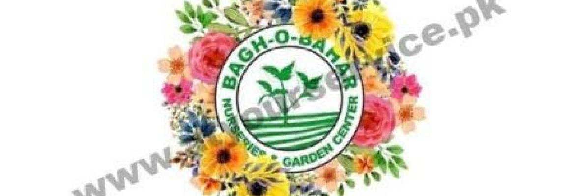 Bagh o Bahar Nurseries & Garden Center – Gehlan Phatak, Pattoki