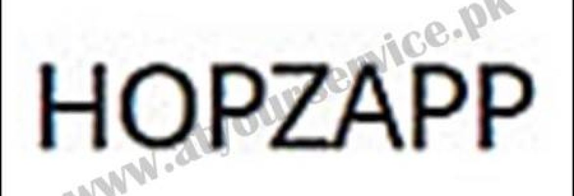 HOPZAPP | Web Development Company