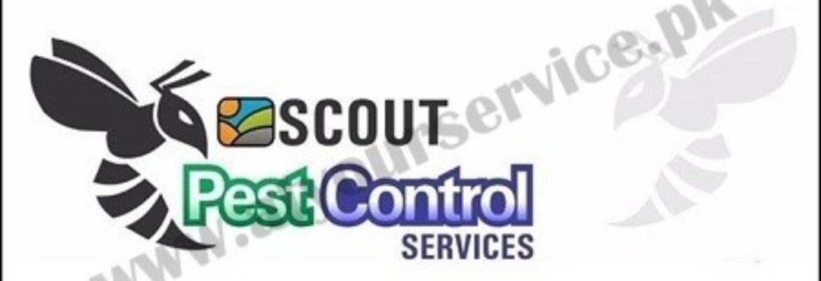 Scout Pest Control – F8, Islamabad
