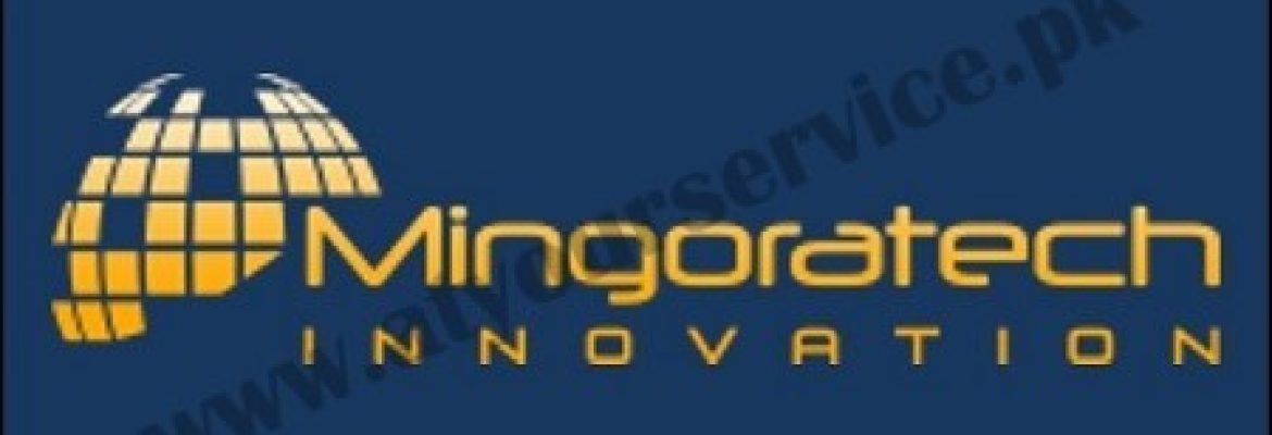 Mingoratech | IT Services Providing Company