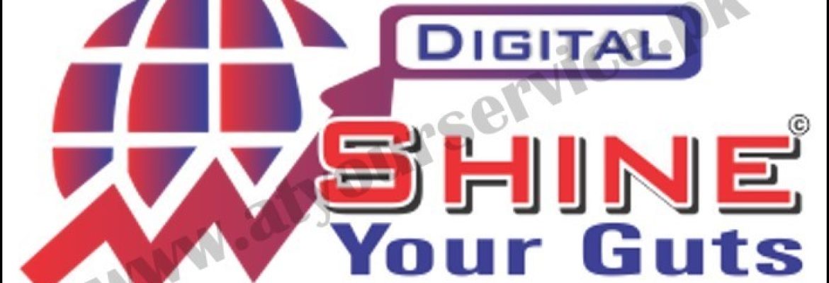 Shine Your Guts | Digital Marketing Agency