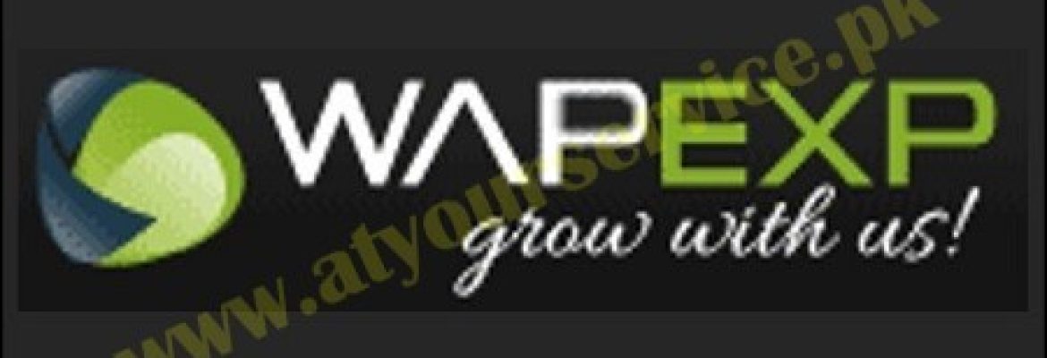 WapExp | IT Services Company