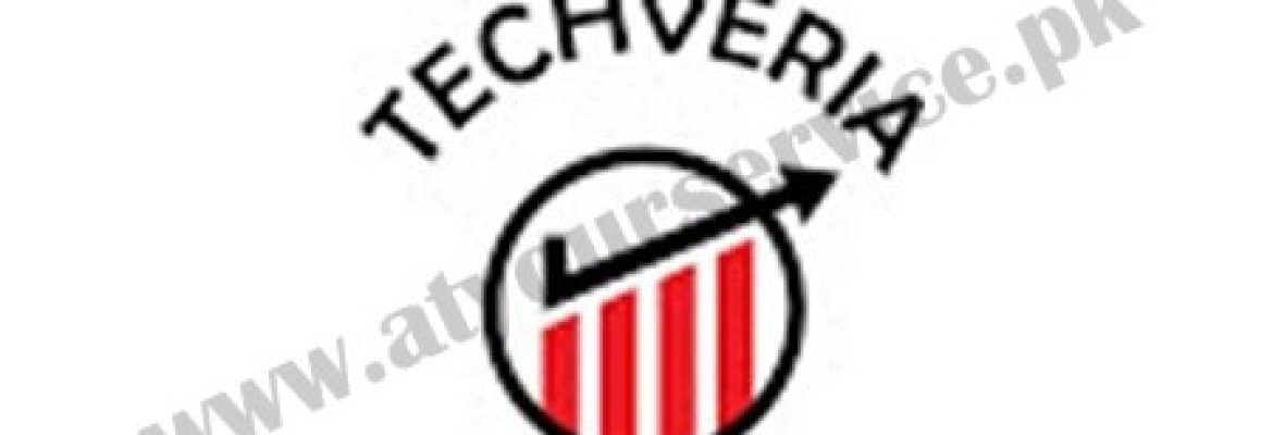 Techveria | IT Services