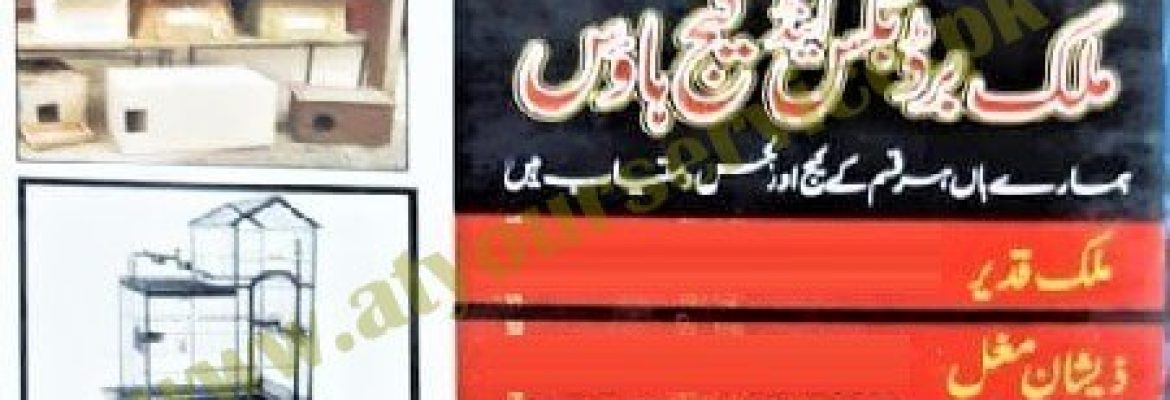 Malik Bird Box & Cage House – Jinnah Road, Khiyali, Gujranwala