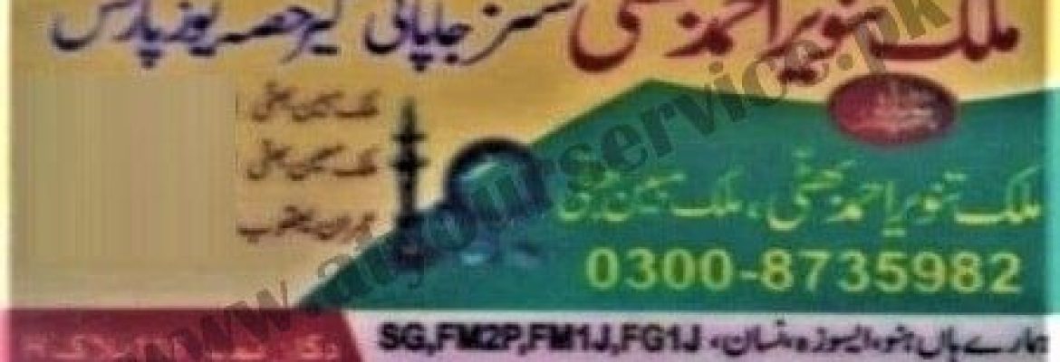 Malik Tanvir Ahmed Bhatti & Sons Japanese Gears & Used Auto Parts – General Bus Stand, Tughlaq Town, Multan