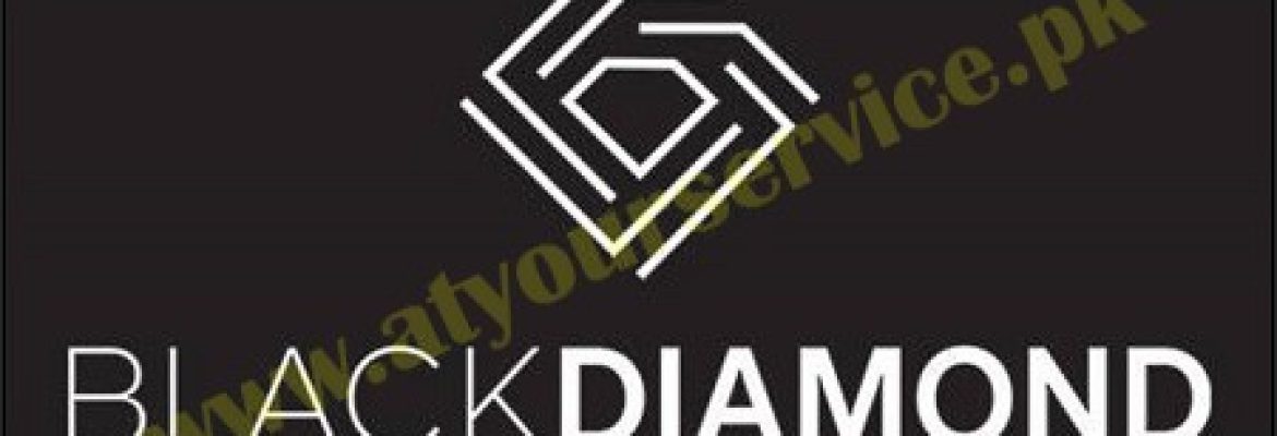 Blackdiamond Media Services