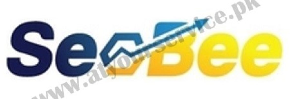 SEObee – Top SEO Services Agency in Pakistan