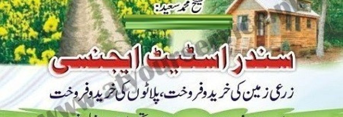 Sundar Estate Agency – Chak 188-RB, Naley Wala, Jhumra, Faisalabad