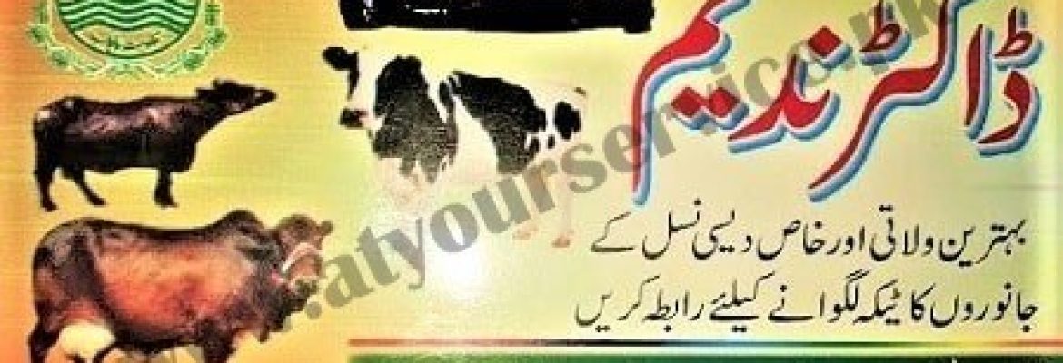 Veterinary Dr. Nadeem – Tareday Wali (Tariddewala), Sharaqpur