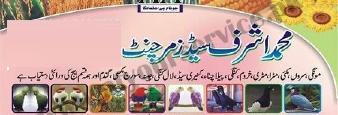 Muhammad Ashraf Seeds Merchant – New Ghallah Mandi, Vehari Road, Multan
