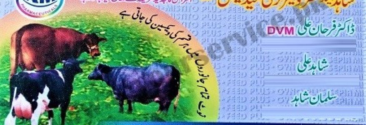 Shahid & Sons Veterinary Medical Store – Vehari Road, Multan