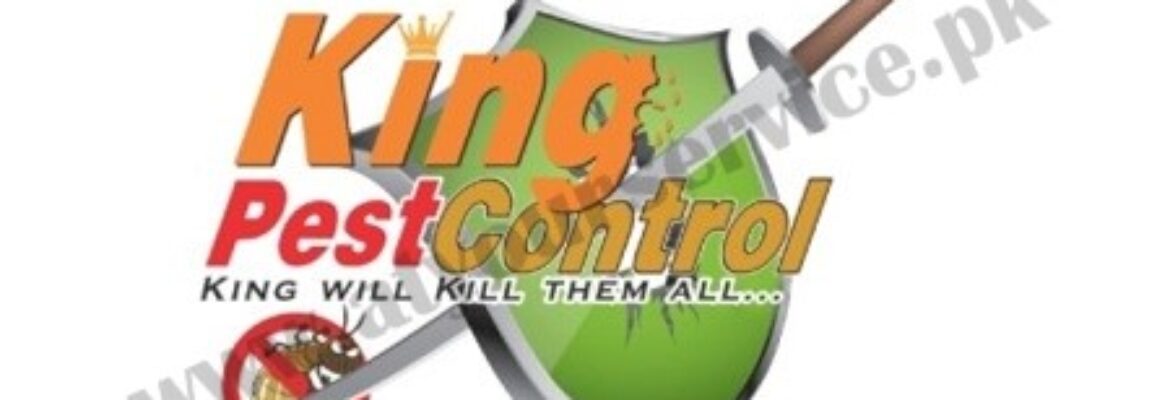 King Pest Control | Termite Control Services in Lahore