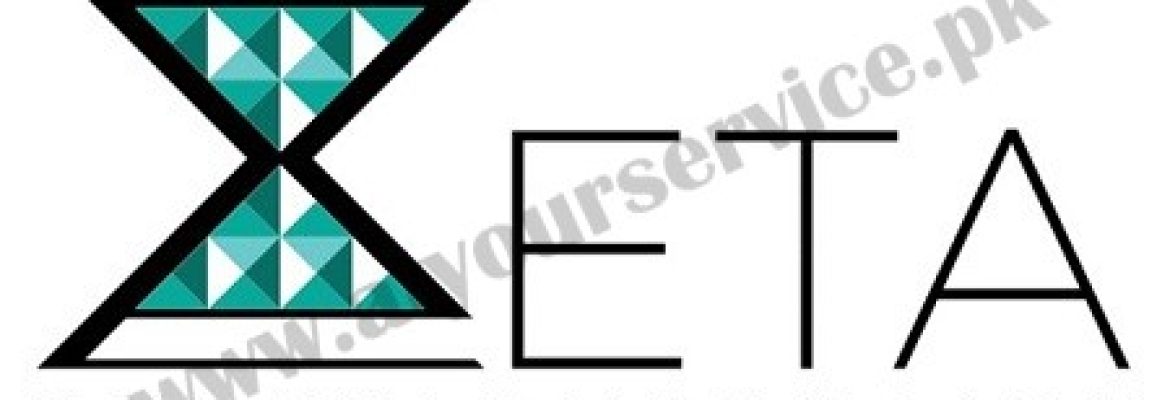 Zeta Solutions Online – IT Services, Remote Office Services