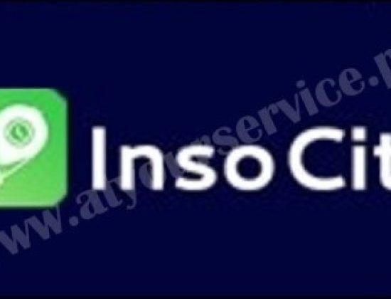 InsoCity – Food Delivery & Home Maintenance Services