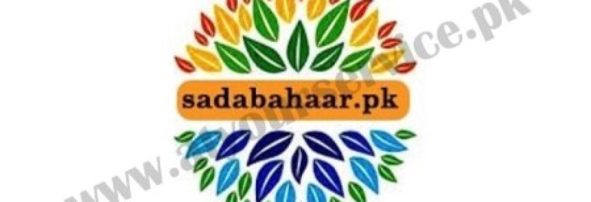 Sadabahaar.pk – Buy Smartwatch in Pakistan
