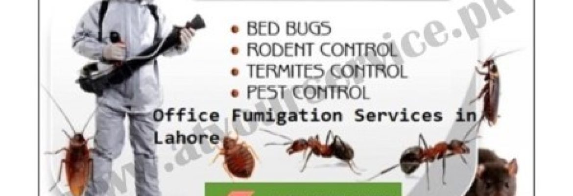 Nabeel Termite Control Service – Block N, Model Town Ext. Lahore