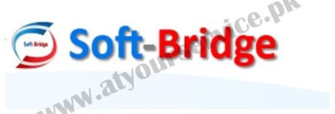 Software Development and App Development Services – SoftBridge.pk