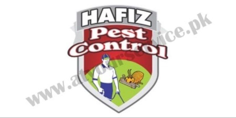 Hafiz Pest Control – Pest Control Services in Lahore