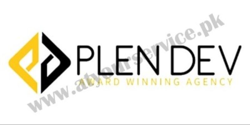 Web Development Company in Pakistan – plendev.net