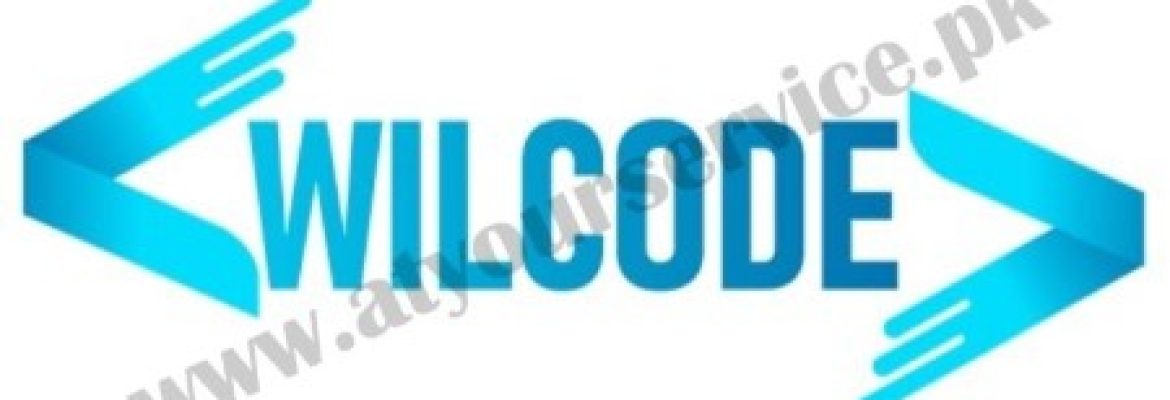 Website Development in Lahore – Wilcode