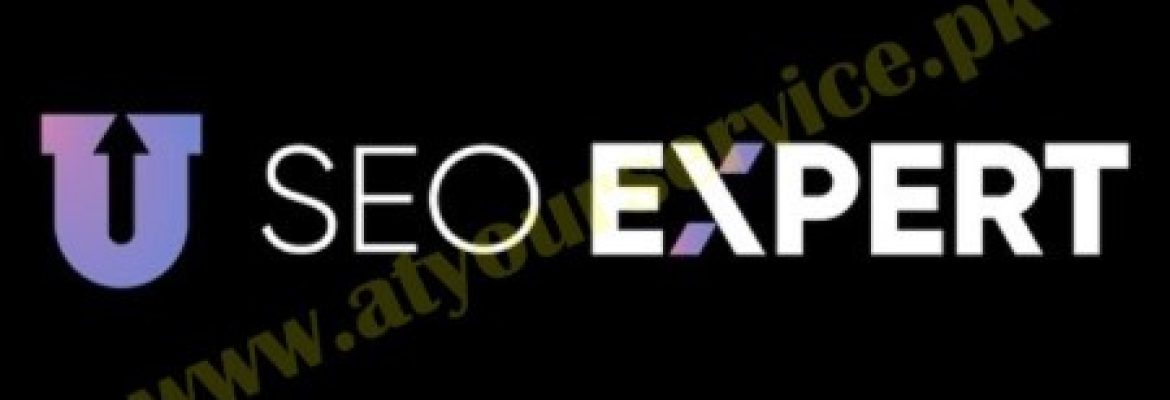 SEO Company in Lahore | Umair SEO Expert