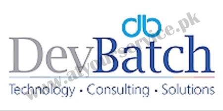 Software Development Company