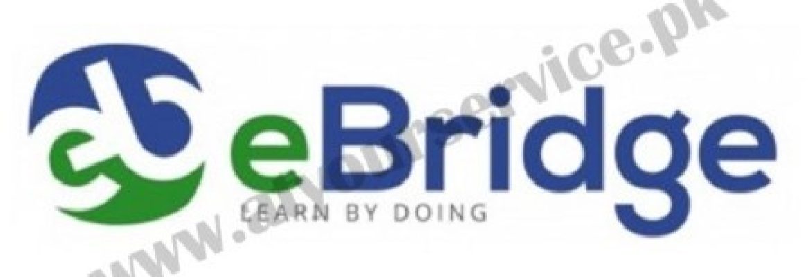 Professional Training Institute – eBridge