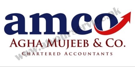 Audit Tax & Management Consulting Firm