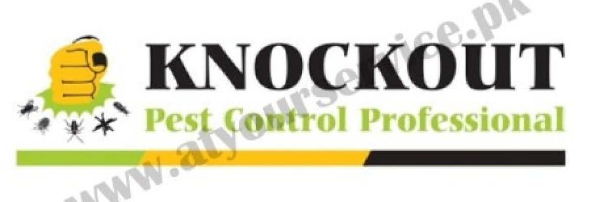 Knockout – Pest Control Professional
