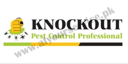 Fumigation & Pest Control Services in Karachi