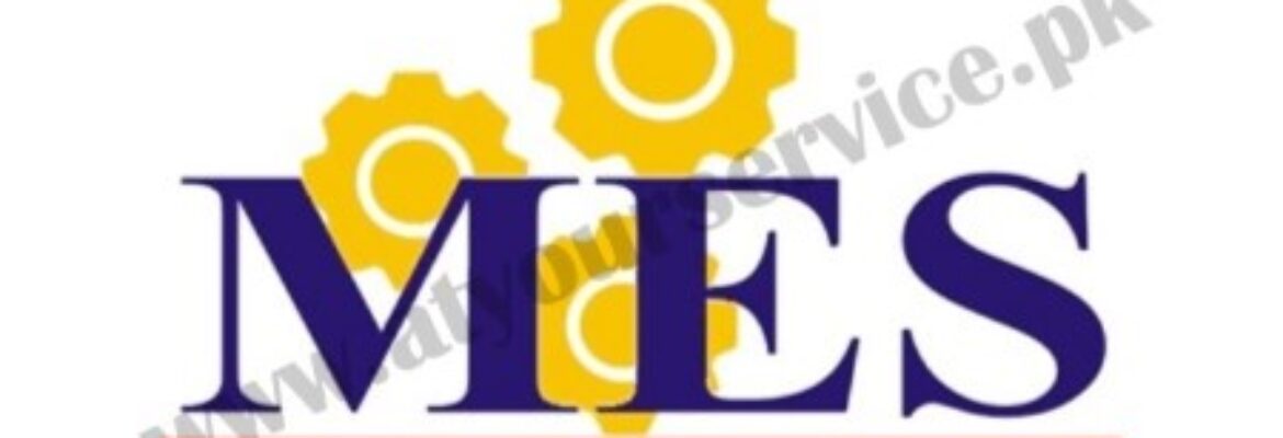 Mehran Engineering Services