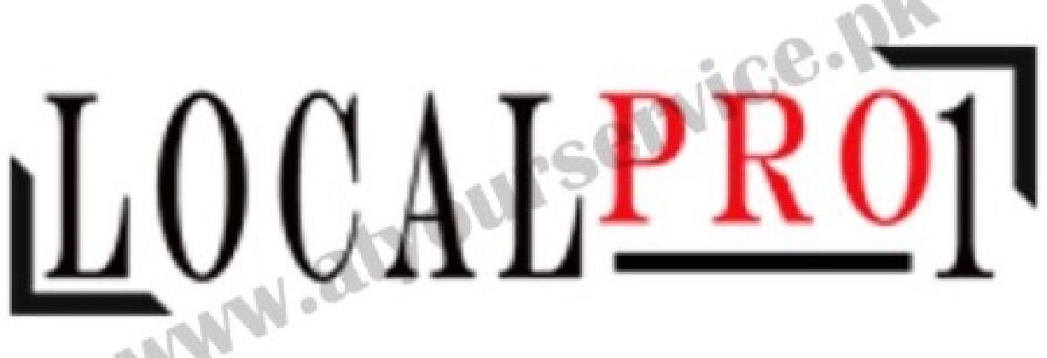 Local Pro1 – Digital Marketing & Web Development