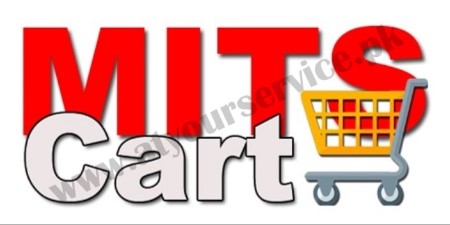 Software Development Services in Pakistan