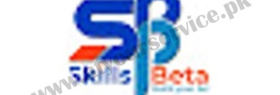 SkillsBeta – Digital Marketing Agency