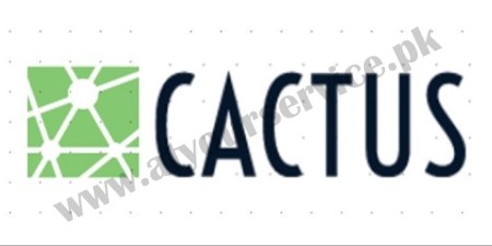 Tender Submission Services