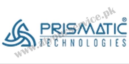 ERP system in Pakistan