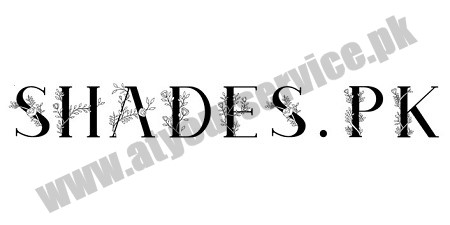 Ladies' Eastern Wear Clothing Online Store