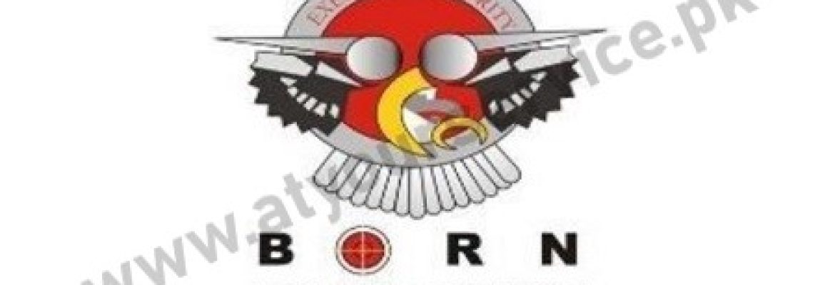 Executive Security Services Okara