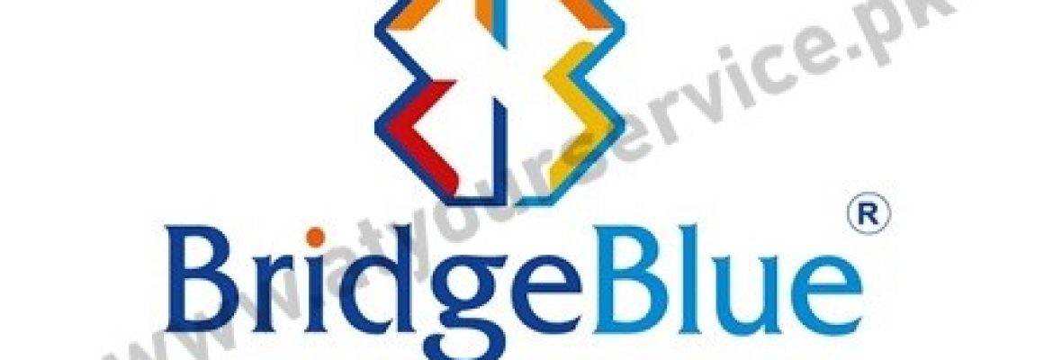BridgeBlue Global Lahore